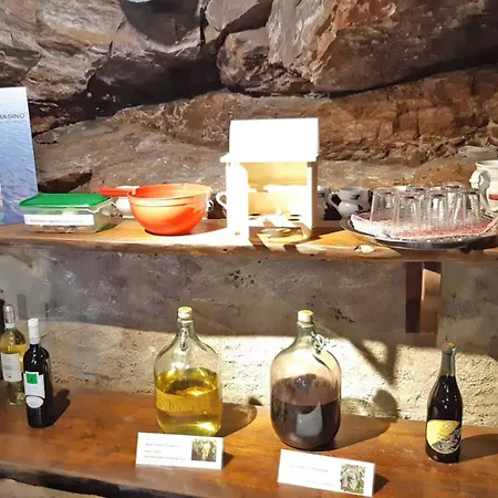 Apartment Trebbiano