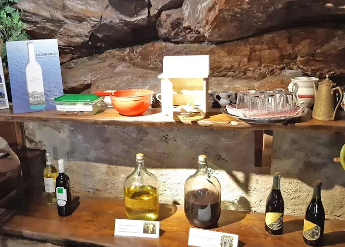 Apartment Trebbiano